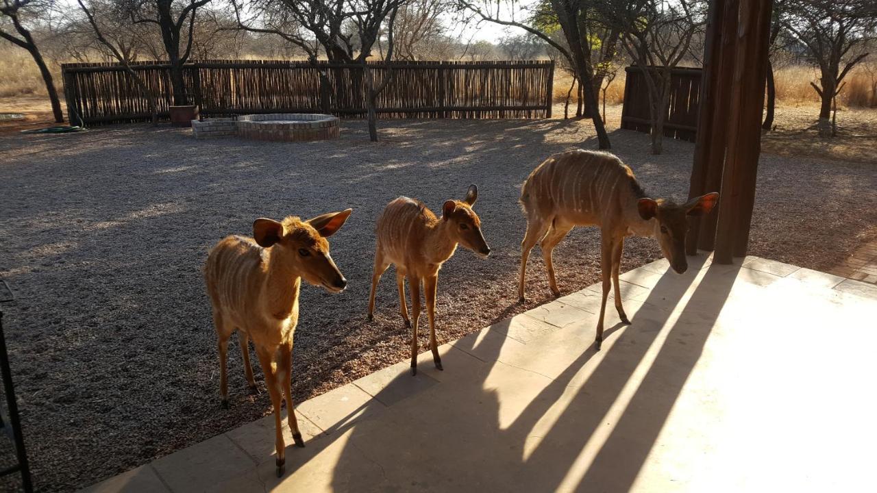 Makhato 84 Bush Lodge Bela-Bela Bagian luar foto